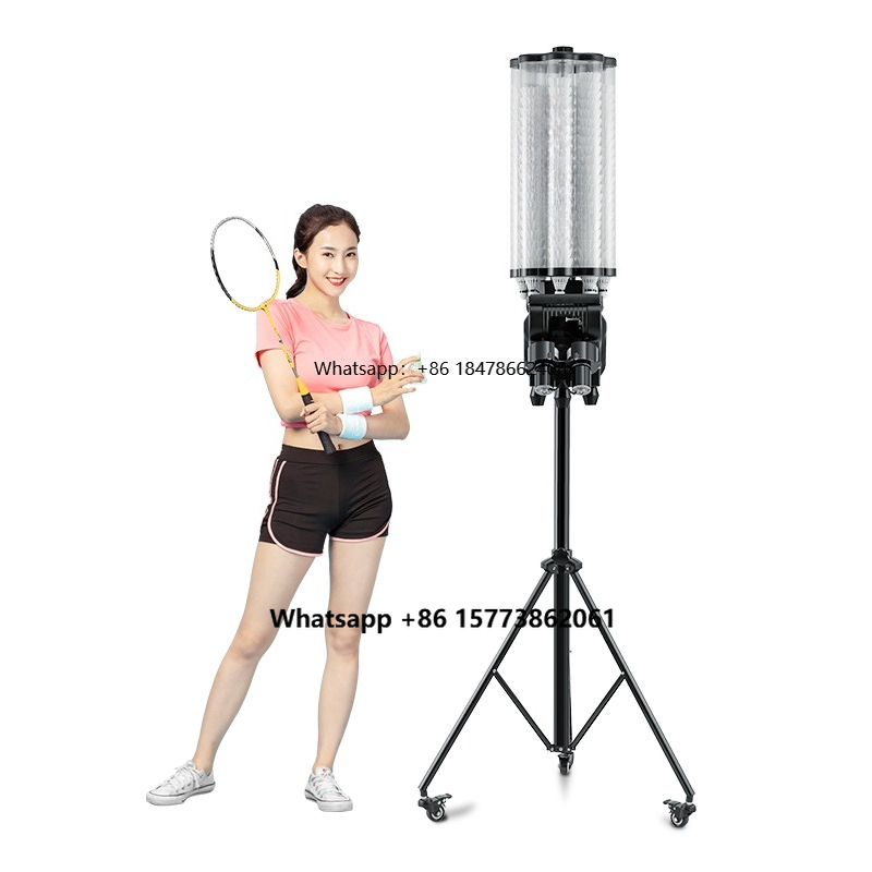 B-2000 Factory Cheapest Siboas - Badminton Club avaliação e preço