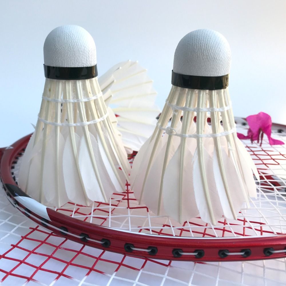 3/6/12Pcs Professional Badmint - Badminton Nylon Shuttlecock avaliação e preço